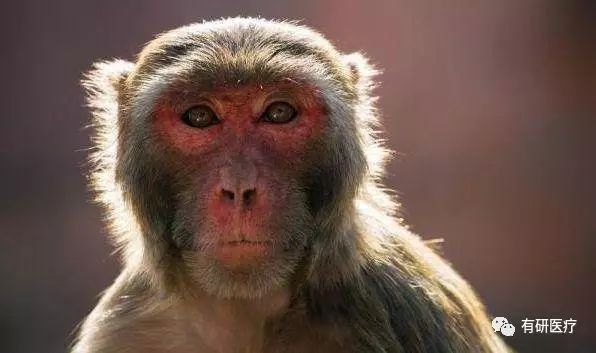 1515123233125166.jpg 640.jpg